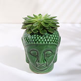 Ceramic Planters