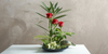 The Art of Ikebana: Exploring Japanese Flower Arranging as a Meditative Practice