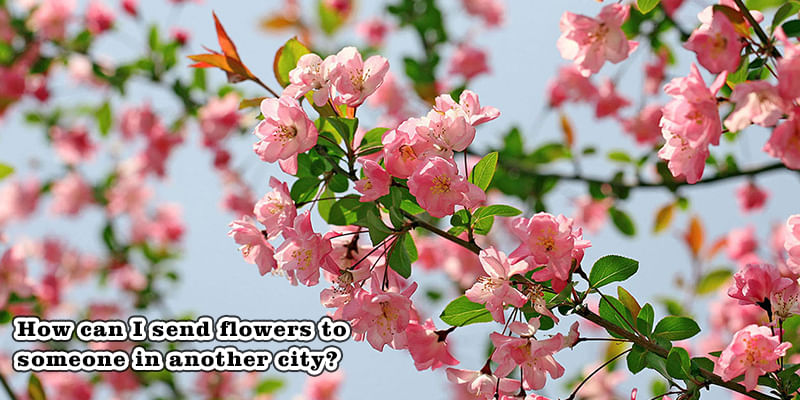 How Can I Send Flowers To Someone In Another City?