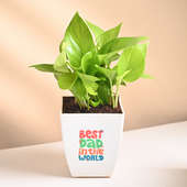 Money Plant For Best Dad