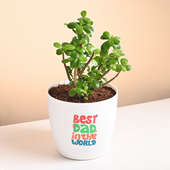 Jade Plant In Rhonda Pot For Best Dad