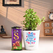 Jade Plant N Chocolates For Papa