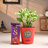 Pothos Plant N Chocolates For Dad