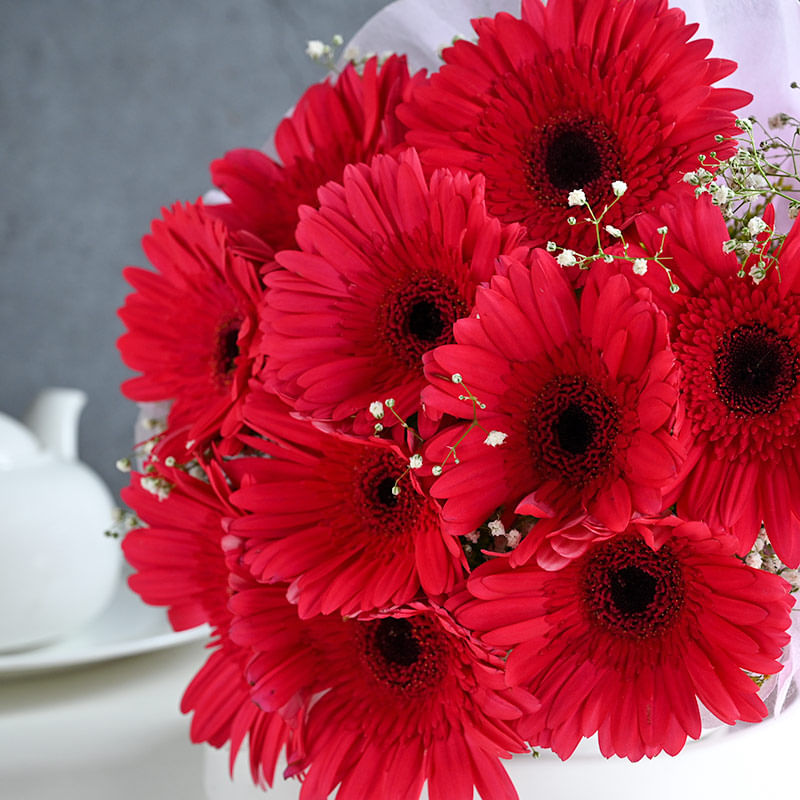 Send Lovely Smile Flowers Online - Flower Close View