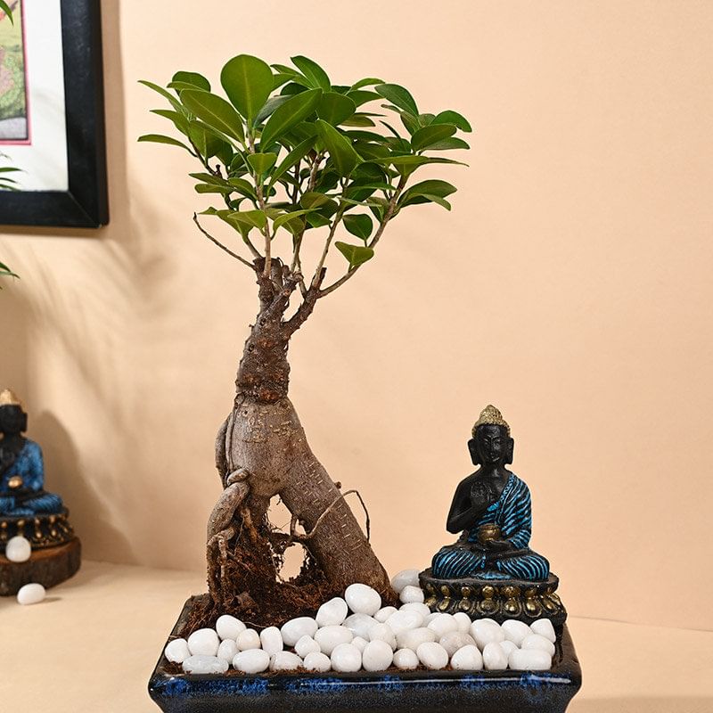 Serene Buddha And Bonsai