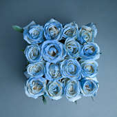 Buy Ice Blue Rose Box Online in India