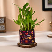 Lucky Bamboo Plant In Diwali Special Glass Vase