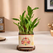 Two Layer Lucky Bamboo In Square Glass Pot with Diwali sleeve