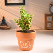 Elegant Jade In Hello Planter