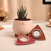 Haworthia Plant With Stone Studded Triangle Diya Set