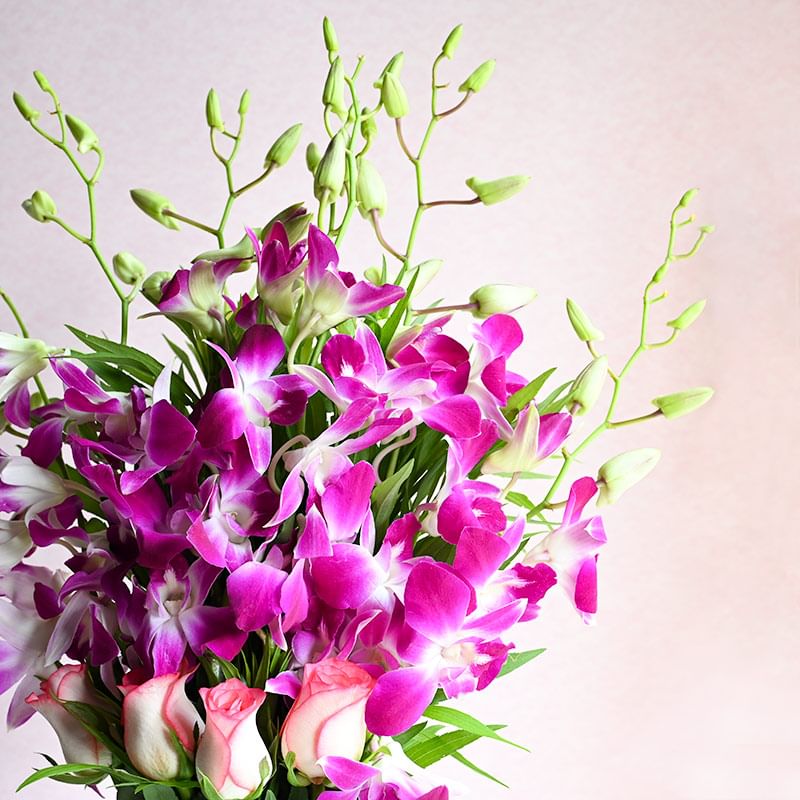 Marvelous Wonderment: 6 Purple Orchids and 4 Pink Roses