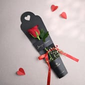 One Red Rose In Floweraura Sleeves