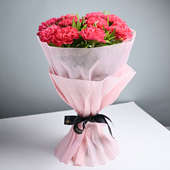 Bunch of 10 Pink carnation
