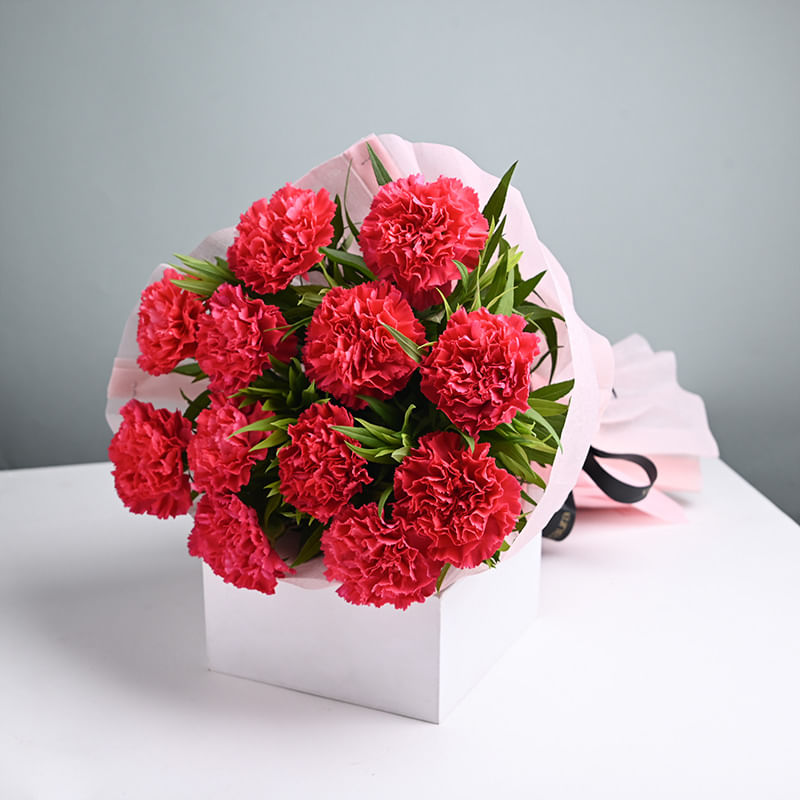 Pink Carnations Bouquet (Bunch of 10 Pink carnation)