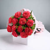 Pink Carnations Bouquet (Bunch of 10 Pink carnation)