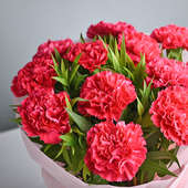10 Pink Carnations with Top View