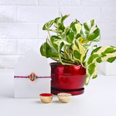 Beautiful Ganesha Rakhi N White Pothos Plant