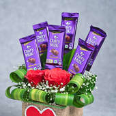 Potted Love Flowers Online Delivery