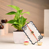 Money Plant With Om Charm Rakhi