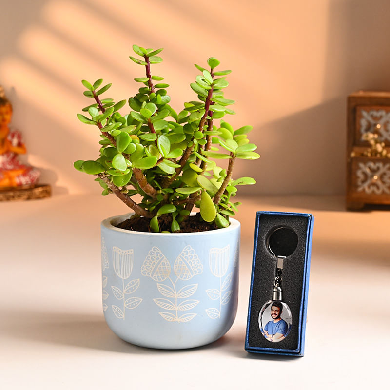 Jade Plant With Personalised Keychain Online