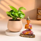 Serene Buddha And Money Plant Combo