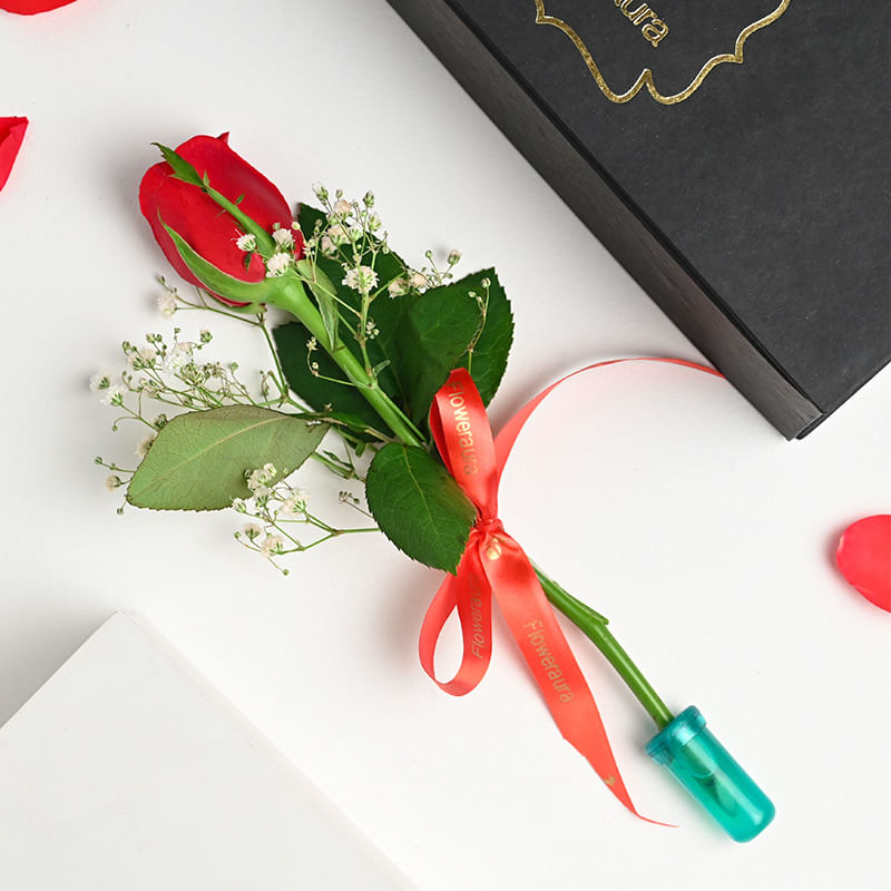 Rose in a Box Online
