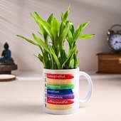 Lucky Bamboo In Acronym Mug For Teachers Day