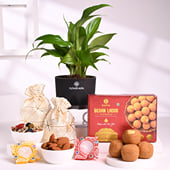 Peace Lily N Diwali Delights Hamper