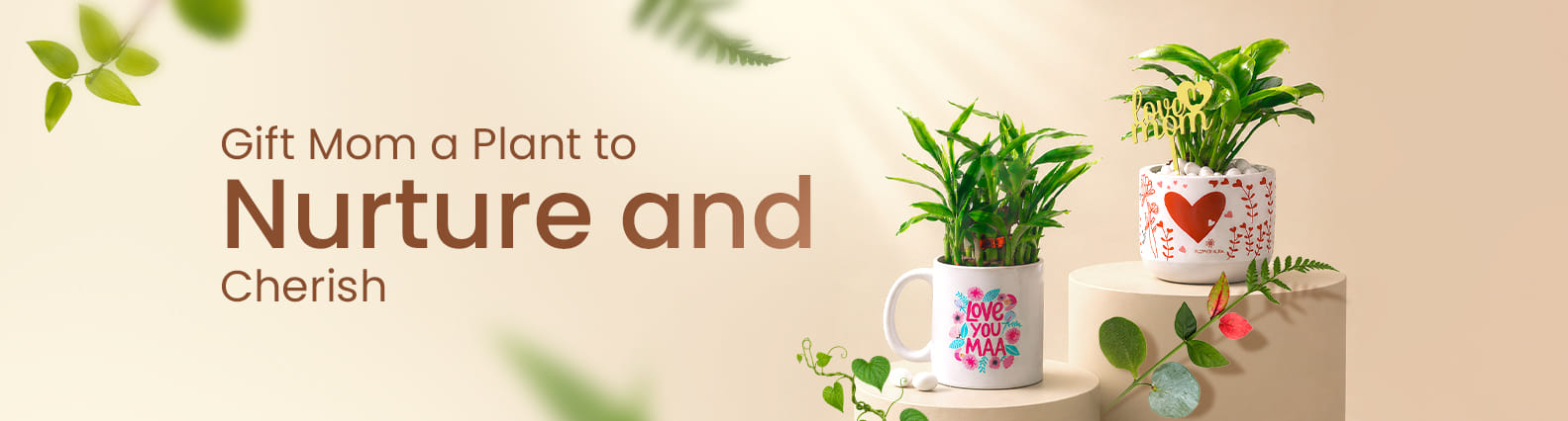Mother's Day Plants