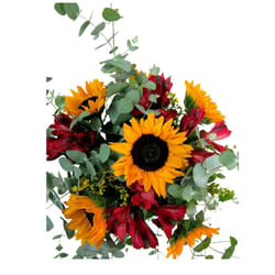 Sunshine Bloom Ensemble