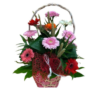 Colorful Gerbera Ensemble