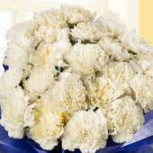 Bunch of 25 White Carnations in Zoomed View 