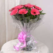 10 Pink Gerberas Bouquet in Beautiful Packaging