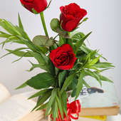 3 Red Roses with Zoomed View