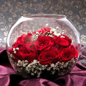 Buy Roses Poses Online - Send flowers to India Online