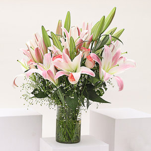 Buy Pleasing Lily Rose Vase Online Flowers Delivery