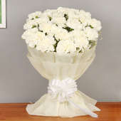 20 White Carnations Bunch