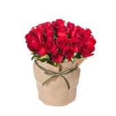 30 Red Roses Arranged Beautifully