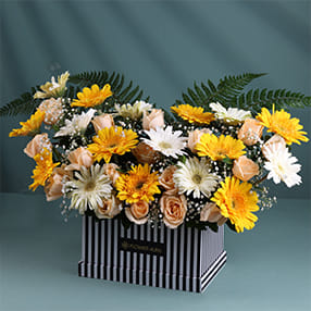 Gerberas