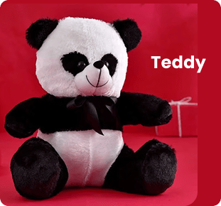 Teddy_0