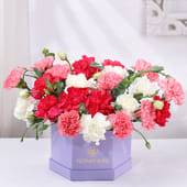 Blossoming Petals of Grace