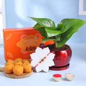 Rudraksha Rakhi With Money Plant N Motichoor Ladoo