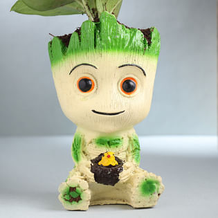 Green Money Plant In Groot