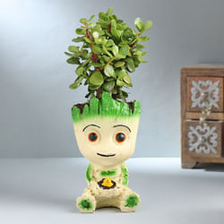 Tranquil Jade Plant
