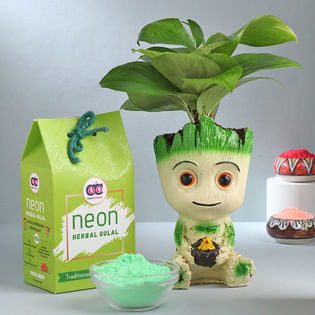 Herbal Holi Gulal with Groot Plant