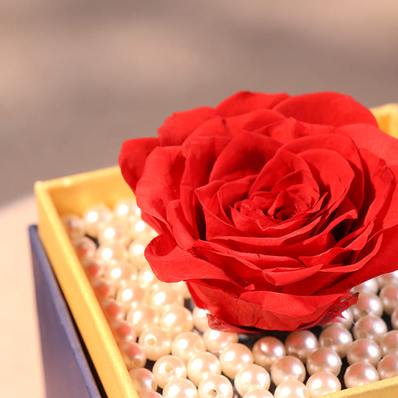 Zoom Views Forever Real Preserved Rose: Forever Real Red Rose In Floweraura Premum Box