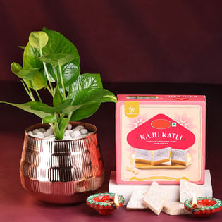 Money Plant With Kaju Katli N Diyas