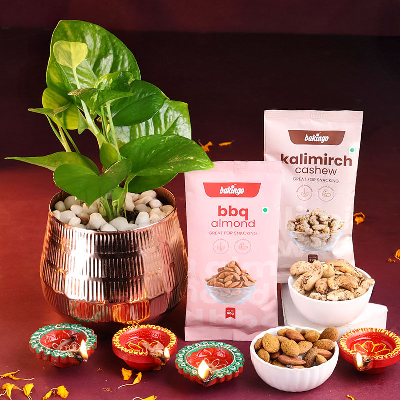 Money Plant With Nutty Treats N Diyas
