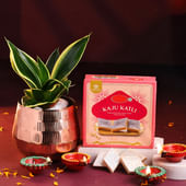 Sansevieria Plant With Kaju Katli N Diyas