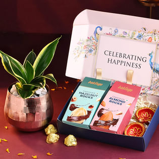 Sansevieria Plant With Chocolates N Diyas